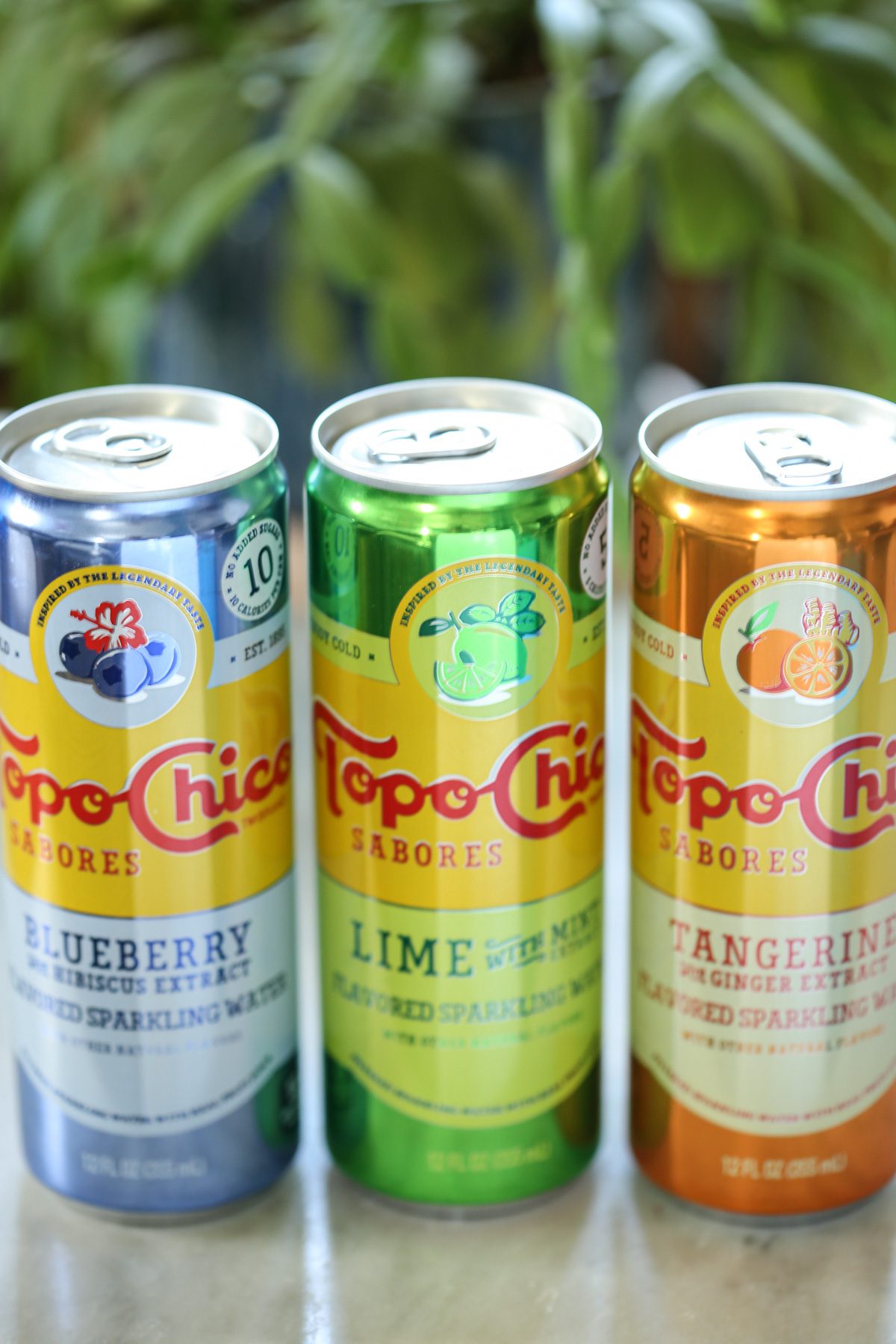 Topo Chico Sabores Sparkling Water Review